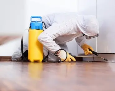 Speciális fertőtlenítő takarítás